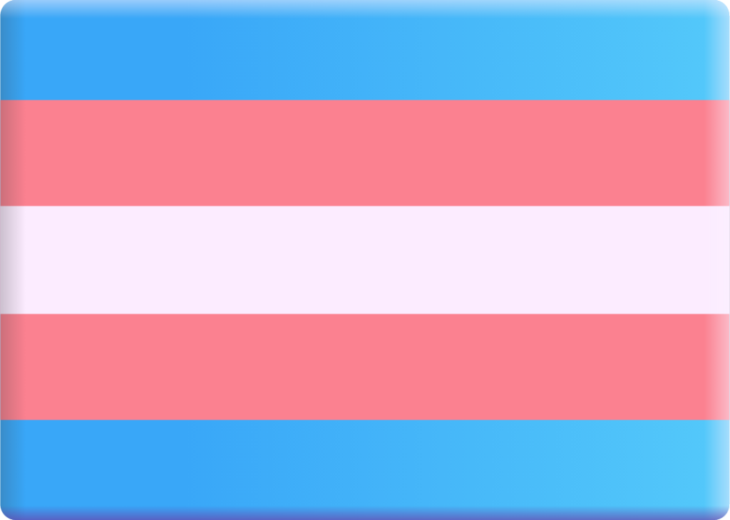 trans flag